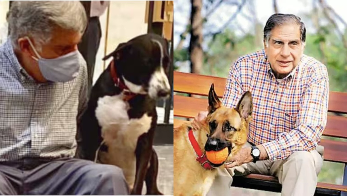 Small Animal Hospital in Mumbai: Ratan Tata’s Final Heartfelt Project